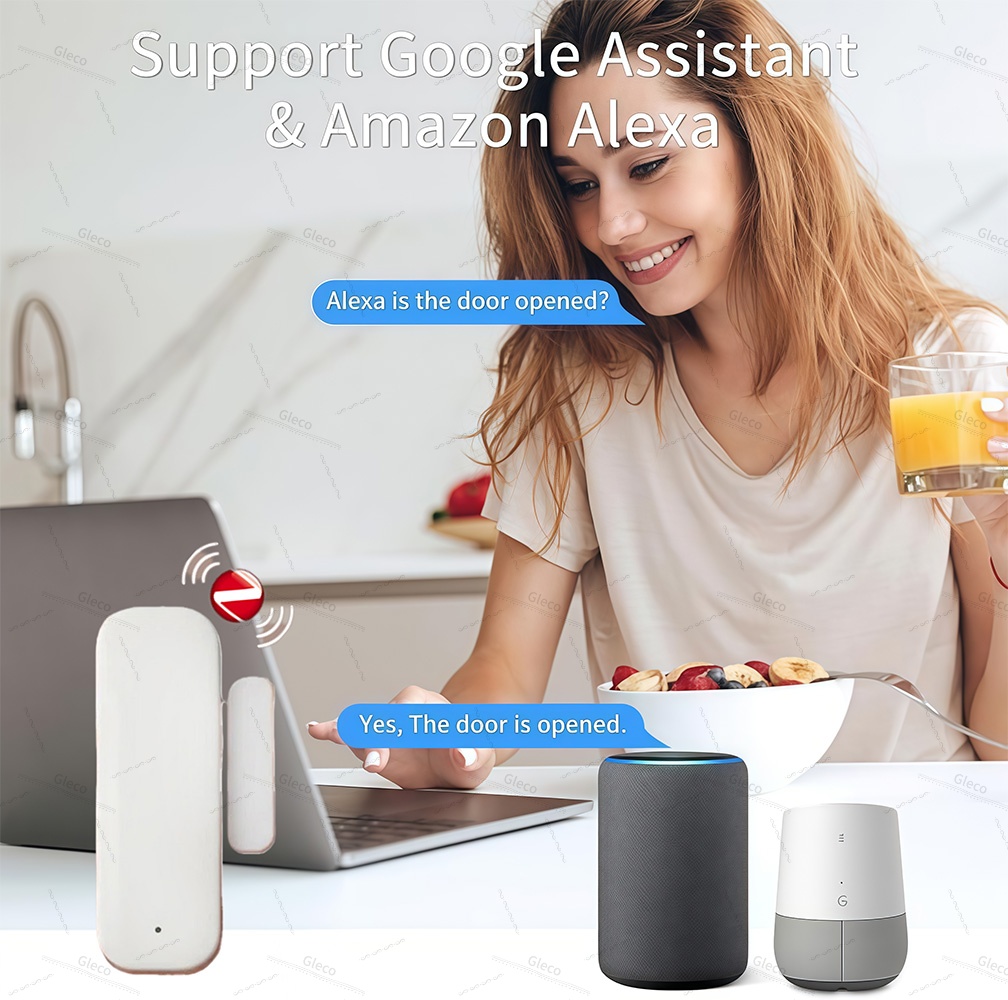 Zigbee Fenster Tür Sensor Erke – Home Security Business Bewertung und Preis