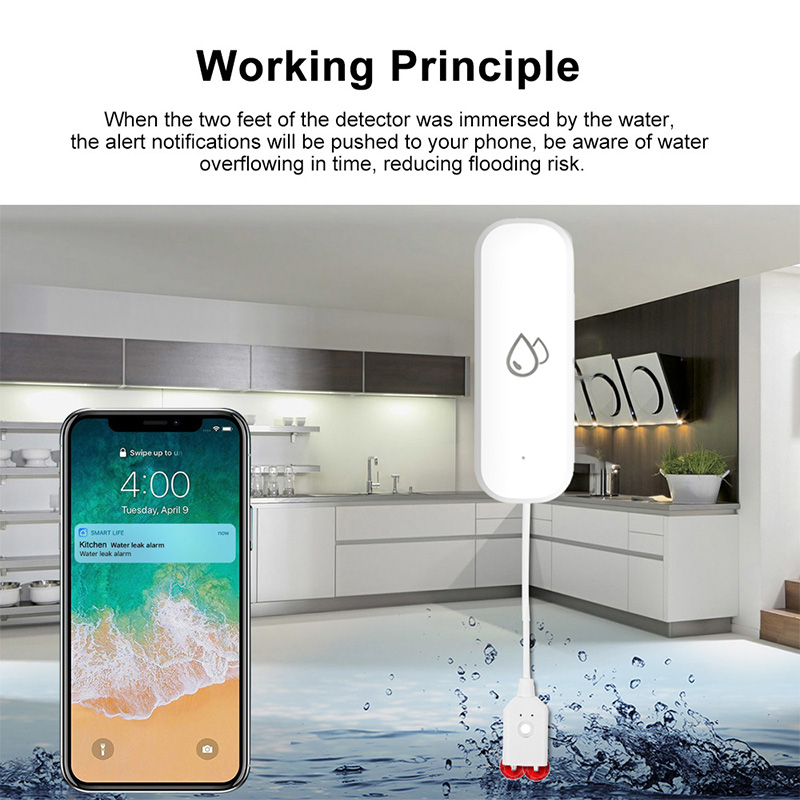 Tuya WLAN-Wasserleck-Alarmsens – Home Security Monitoring Bewertung und Preis