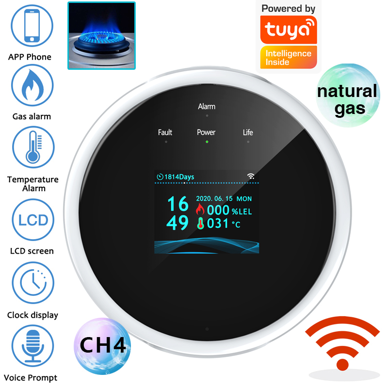 2,4G WiFi Gasalarm-Sensor, Det – Home Security Monitoring Bewertung und Preis